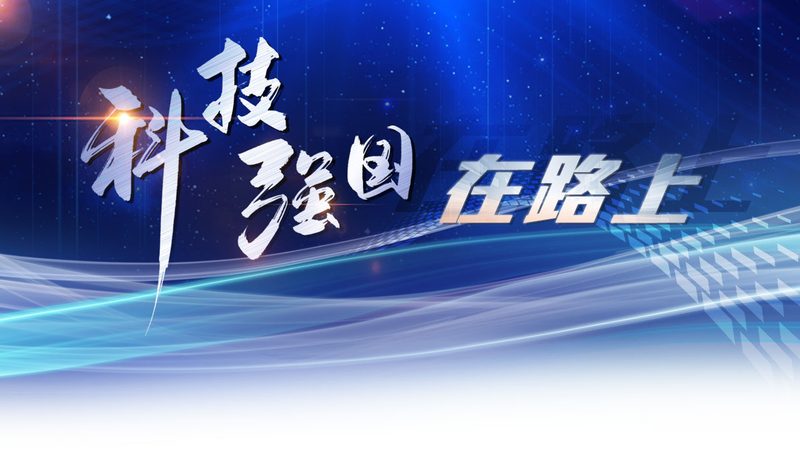 数据定制服务：揭秘企业级解决方案的选型逻辑