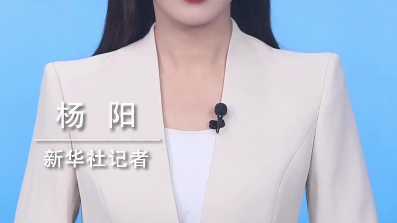 元数据管理平台：企业数据治理的得力助手